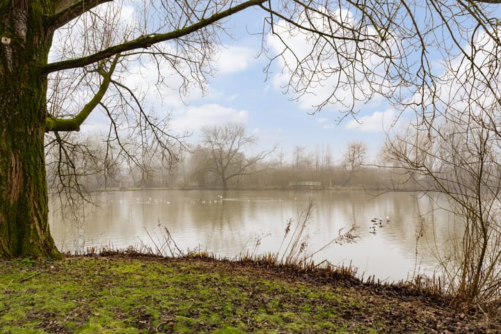 Foto 51 van Standerdmolen 4