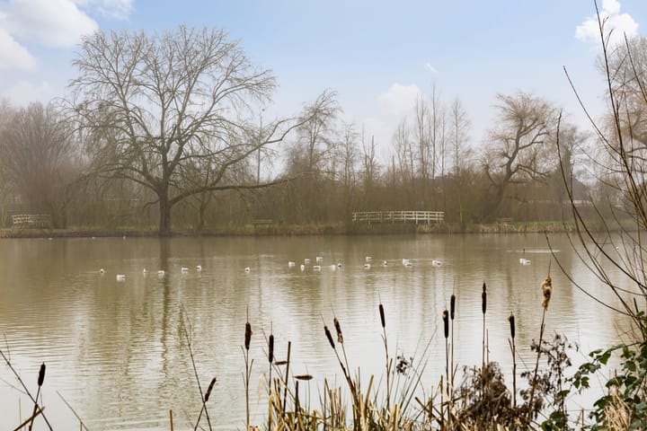 Foto 52 van Standerdmolen 4