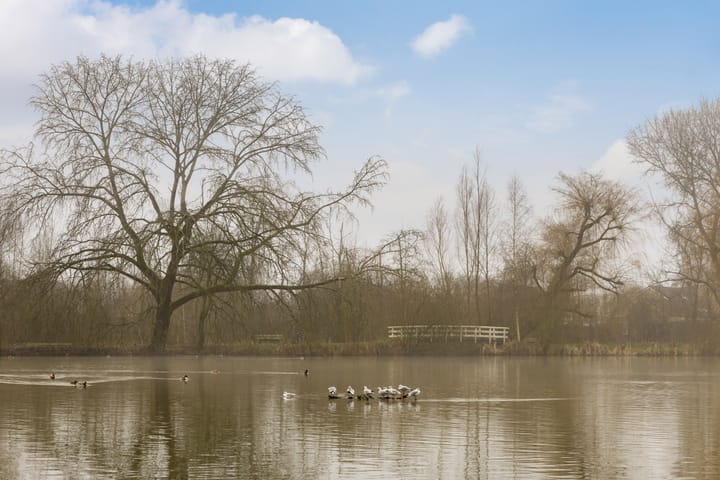 Foto 53 van Standerdmolen 4