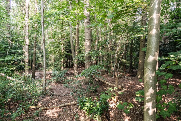 Foto 33 van Ruys de Perezlaan 24