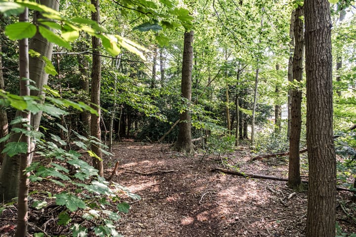 Foto 34 van Ruys de Perezlaan 24