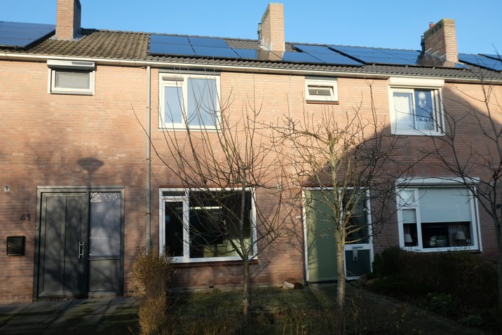 undefined main image