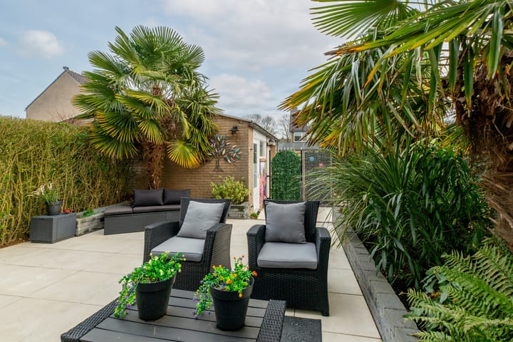 Foto 33 van Hoefslag 35