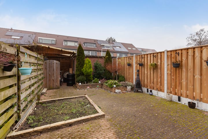 Foto 9 van Lijsterbes 15