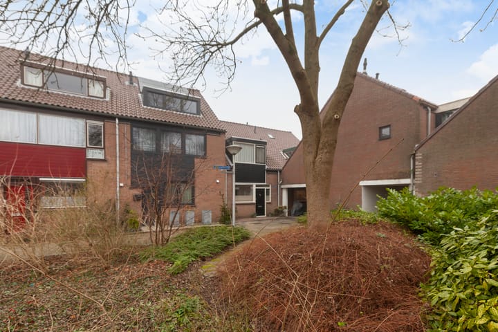 Foto 35 van Lijsterbes 15