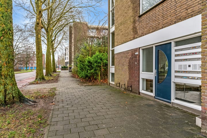 Foto 19 van Richterslaan 109