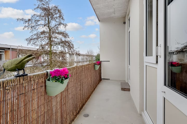 Foto 3 van Hoofdweg 216-3