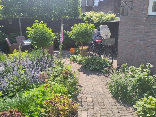 Foto 5 van Van Riebeecklaan 37