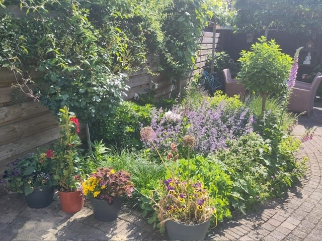 Foto 56 van Van Riebeecklaan 37