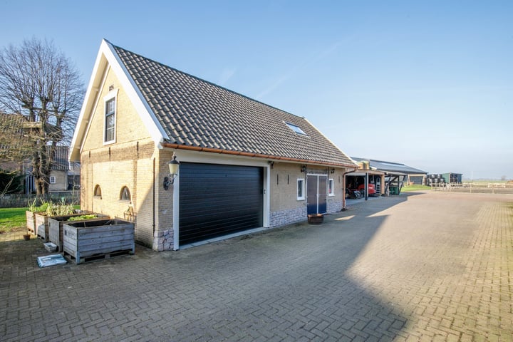 Schuwacht 242