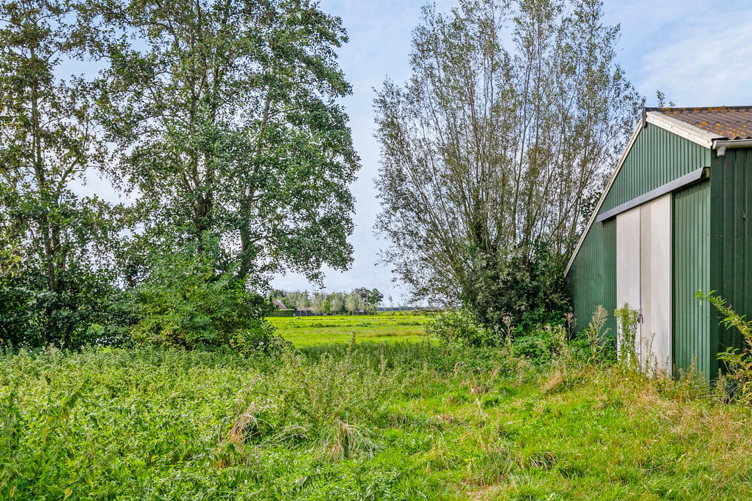 Photo 8 of Kadijk 23