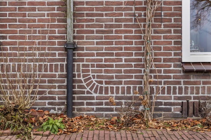 Photo 45 of Koningshof 8