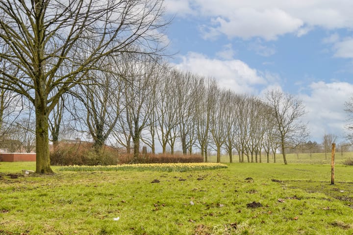 Foto 41 van Golfslag 4