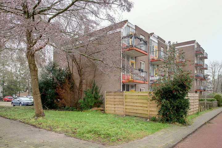 Foto 5 van Heveapad 79