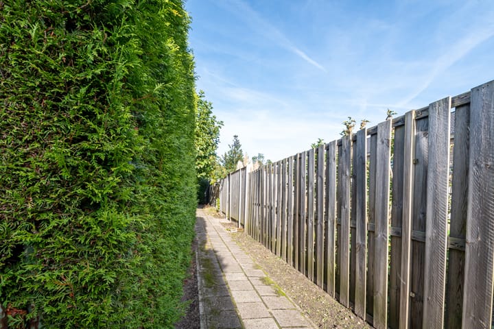 Foto 20 van Kwartelstraat 18