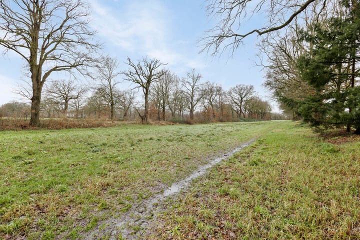 Foto 30 van Ransuil 97