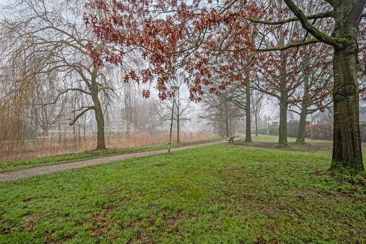 Foto 30 van Donizettipad 12