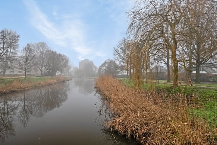 Foto 31 van Donizettipad 12