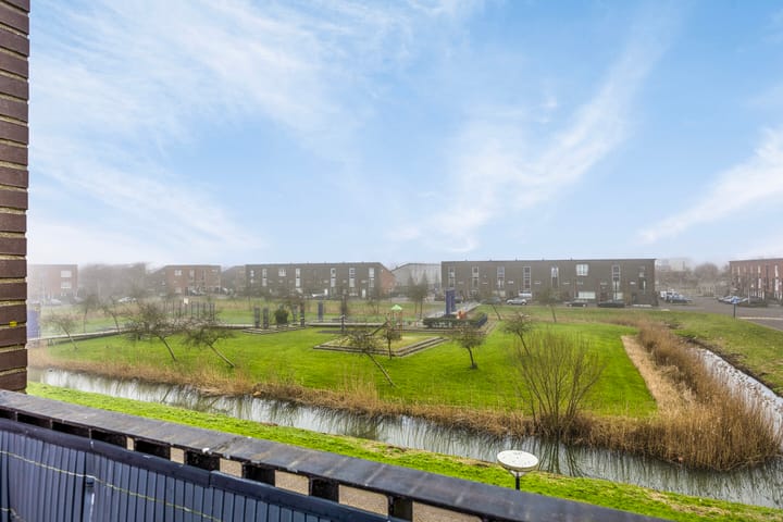 Photo 32 of Forintplantsoen 24