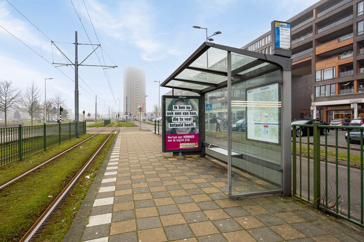 Photo 35 of Forintplantsoen 24