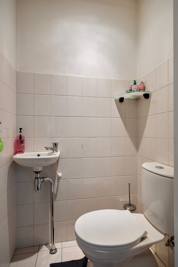 Foto 10 van Forintplantsoen 24