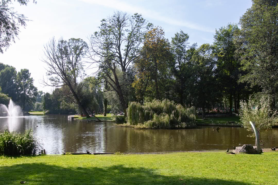 Foto 38 van Reinwardtstraat 164