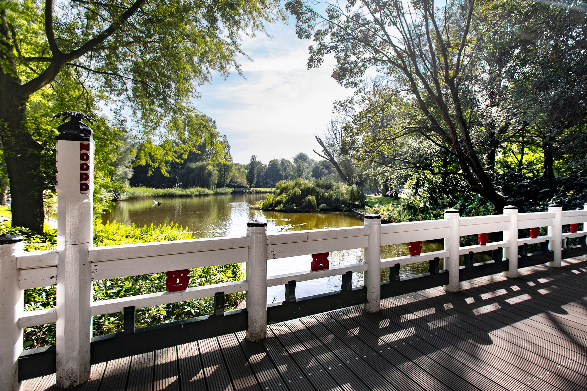 Foto 39 van Reinwardtstraat 164