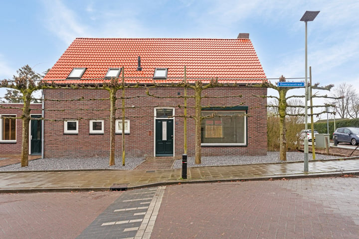 Bekijk foto van Dionisiusstraat 17