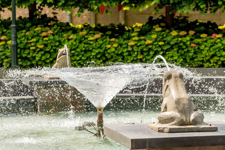 Foto 24 van Maarstraat 10-A