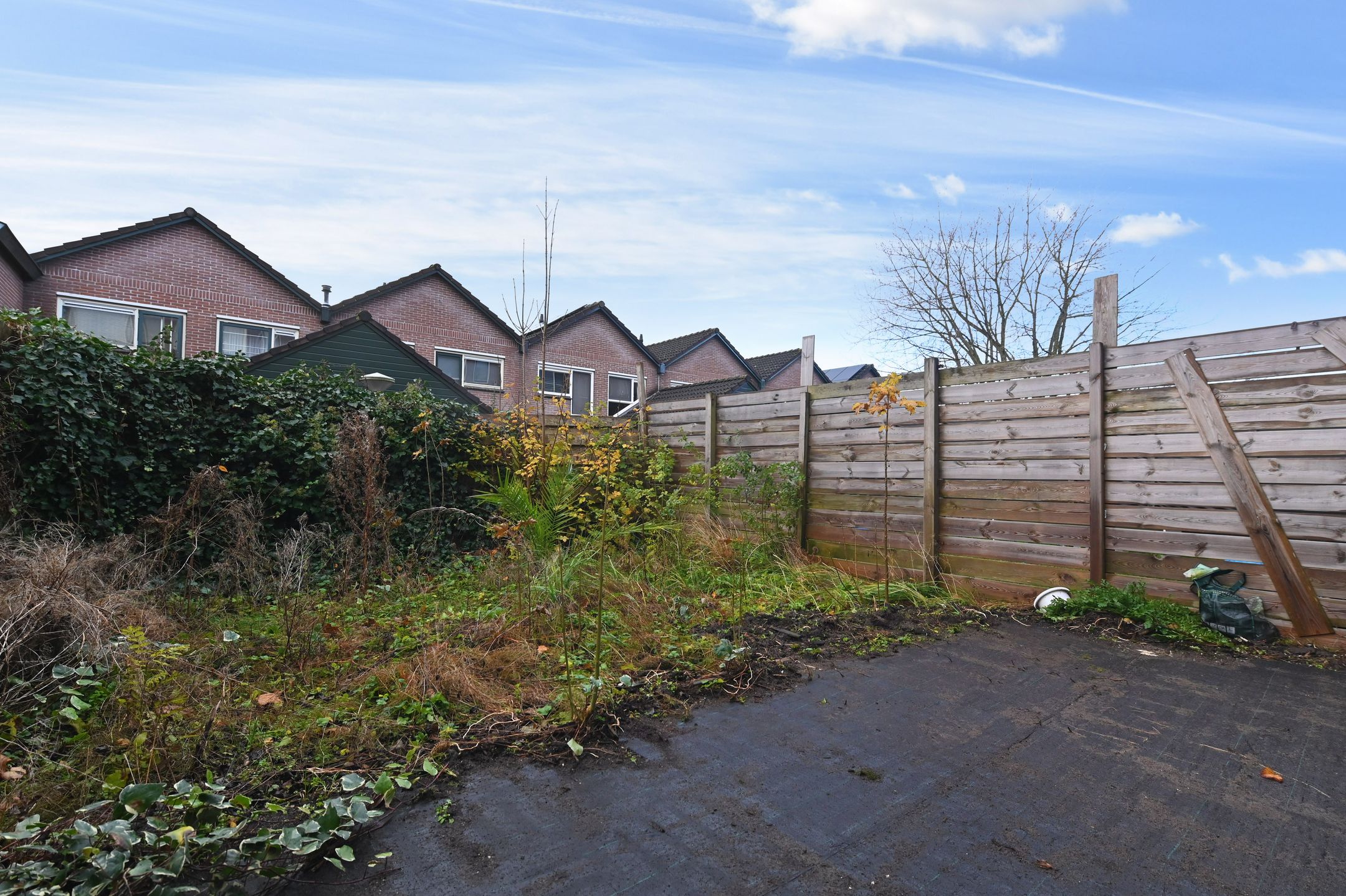 Foto 15 van Dadelgaarde 53