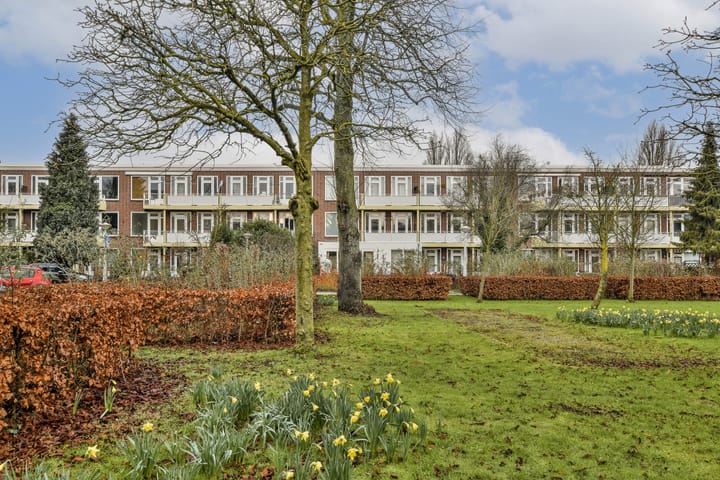 Foto 16 van Johannes van der Waalsstraat 6-1