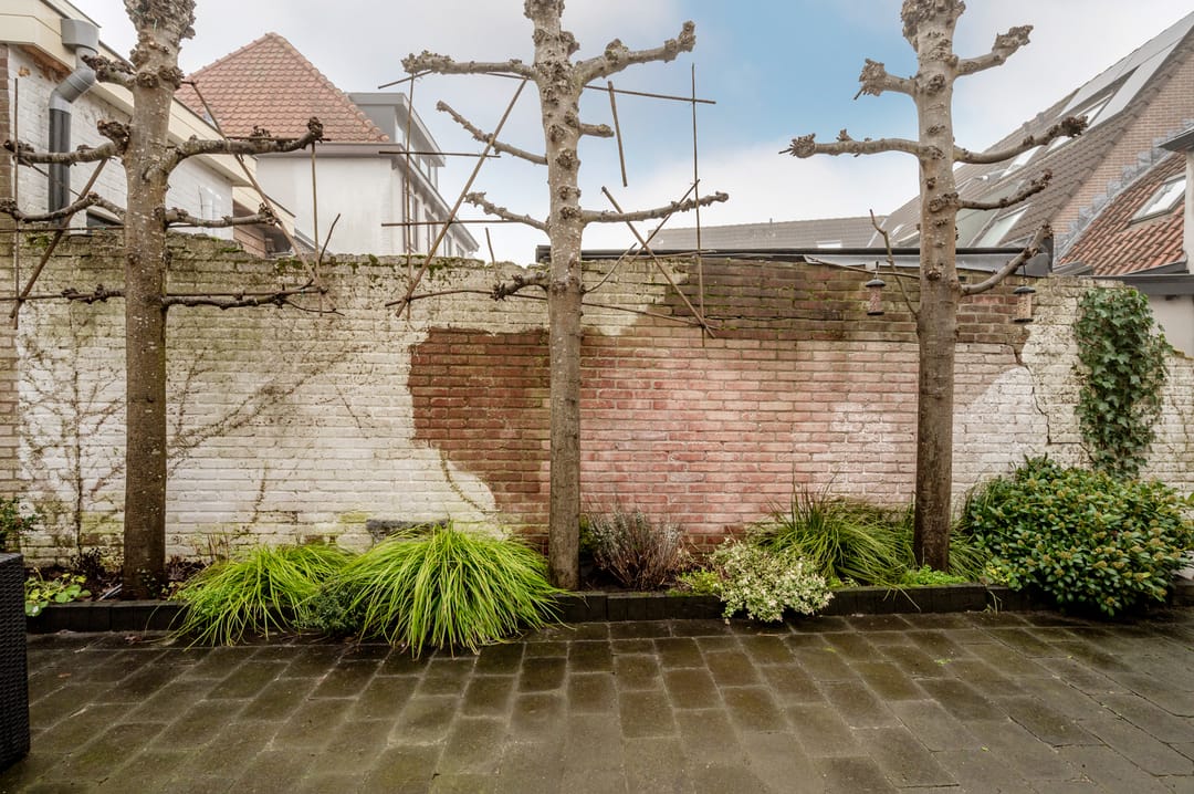 Foto 31 van Molenstraat 9