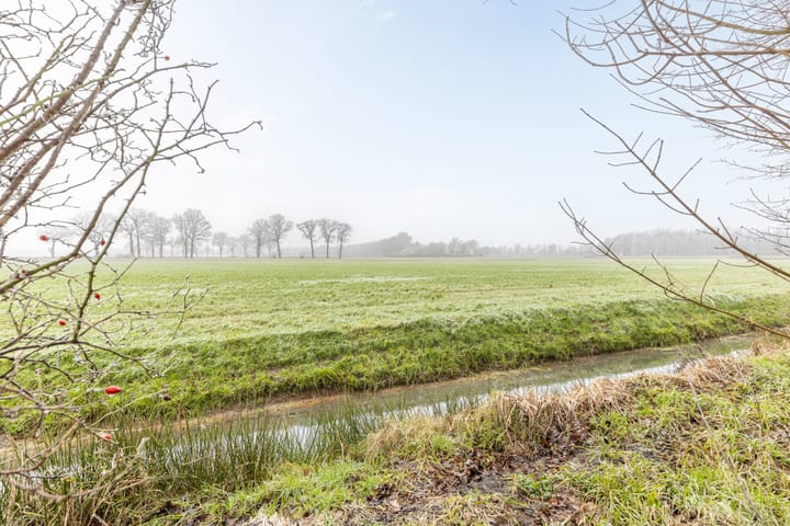 Foto 4 van Boslaan 1-R39