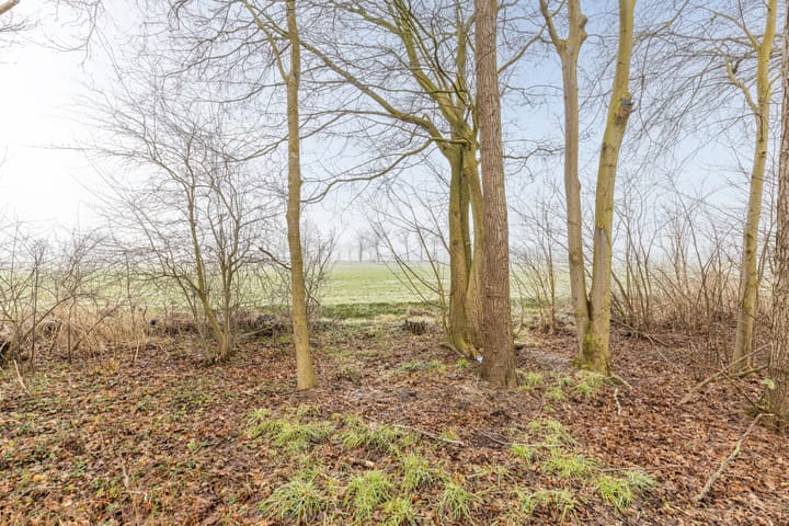 Foto 33 van Boslaan 1-R39