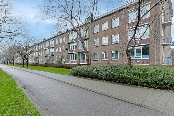 View photo of Louise de Colignystraat 48