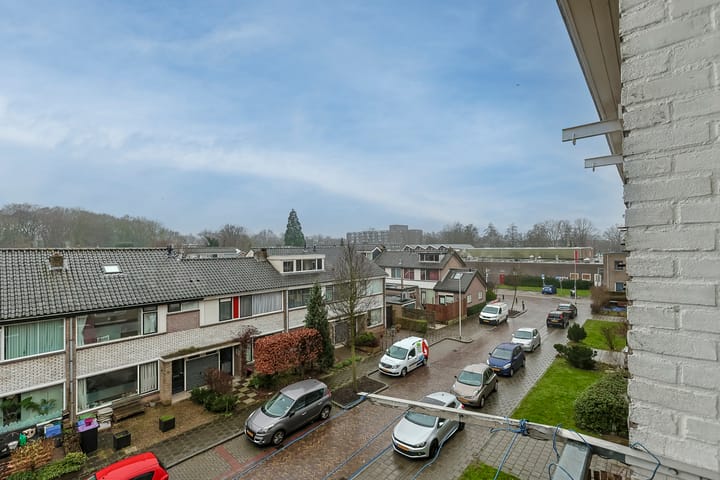 Foto 41 van Louise de Colignystraat 48