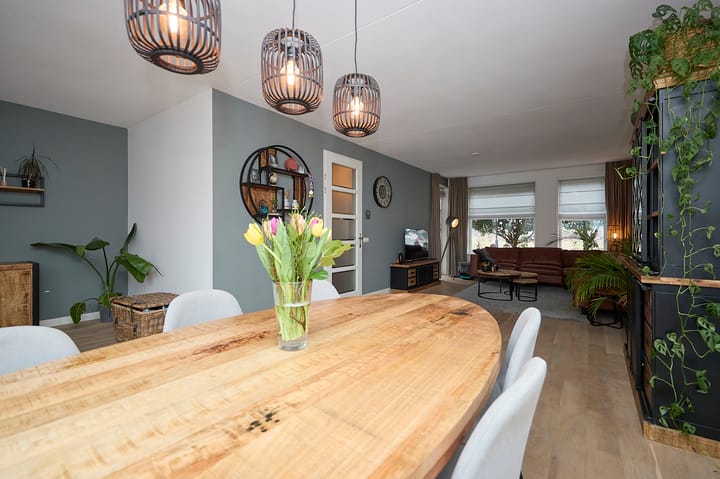 Foto 2 van Ooievaar 5