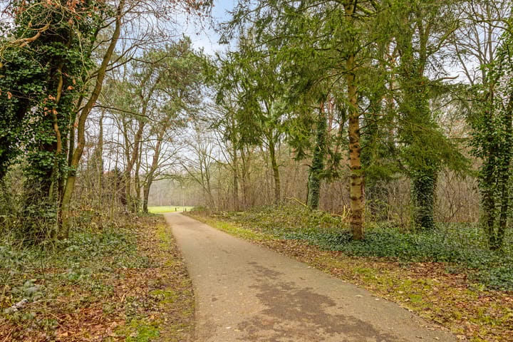 Foto 30 van Dahliastraat 104