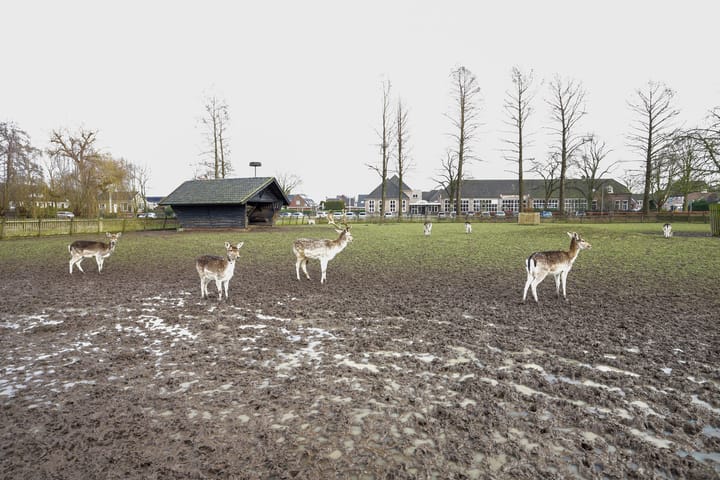 Foto 33 van de Heuven 2