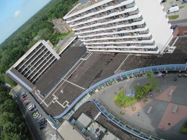 Foto 10 van Houtweg 257