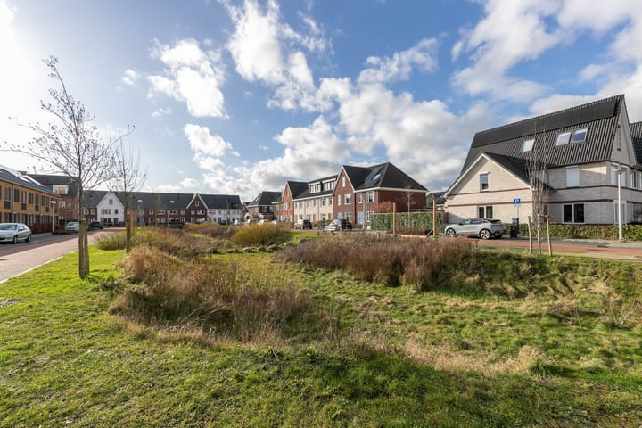 Foto 36 van Fazant 5