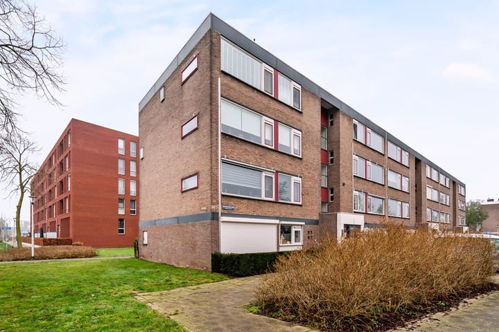 Foto 19 van Boerhaavelaan 161