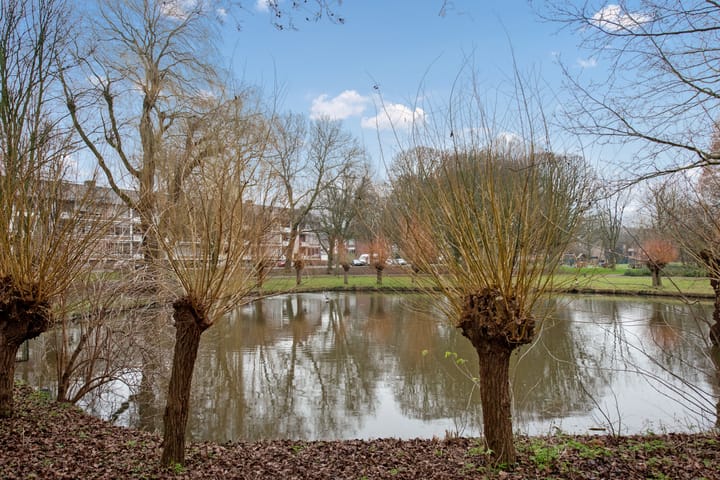 Foto 46 van Hoekwaterstraat 100