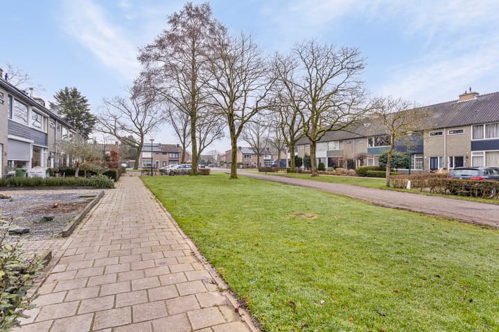 Foto 37 van de Haenstraat 17