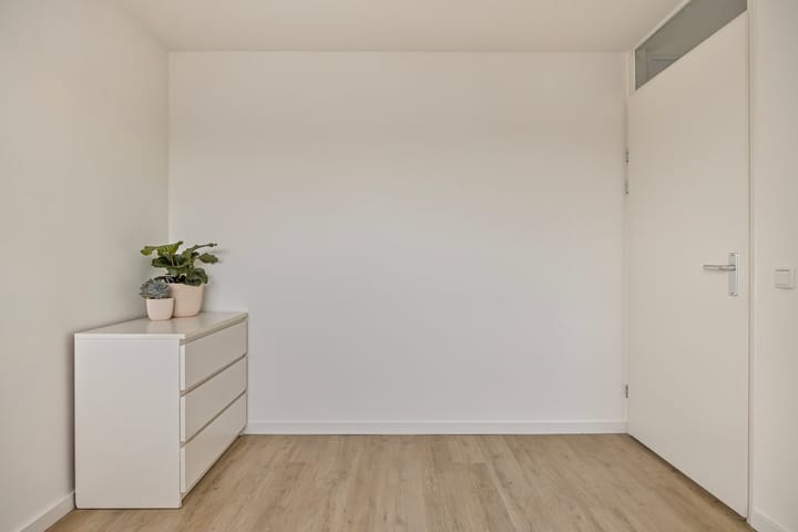 Foto 32 van Sterrenkroos 186