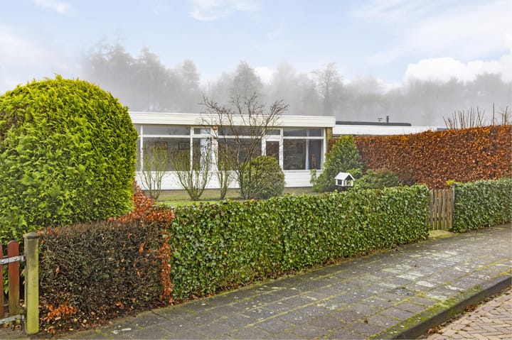 Foto 1 van Albert Schweitzerplantsoen 20