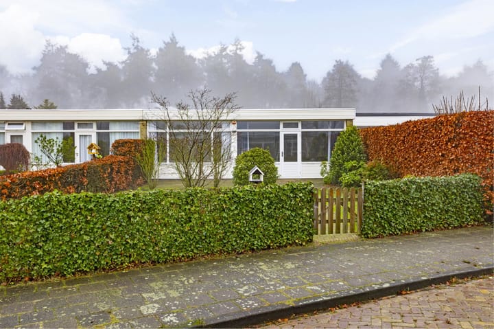 Foto 2 van Albert Schweitzerplantsoen 20