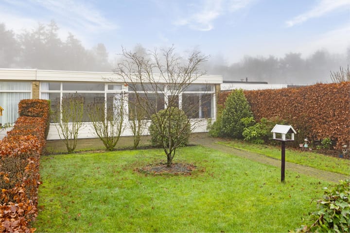 Foto 4 van Albert Schweitzerplantsoen 20