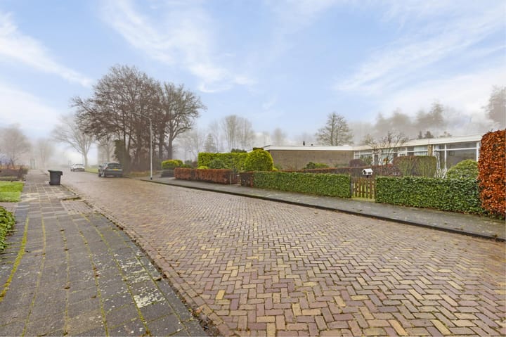 Foto 5 van Albert Schweitzerplantsoen 20