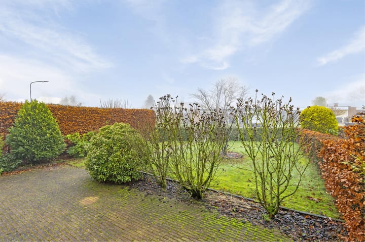 Foto 7 van Albert Schweitzerplantsoen 20